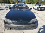 Lot #3051573101 1996 LEXUS ES 300