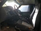 Lot #3037916002 2004 FORD RANGER