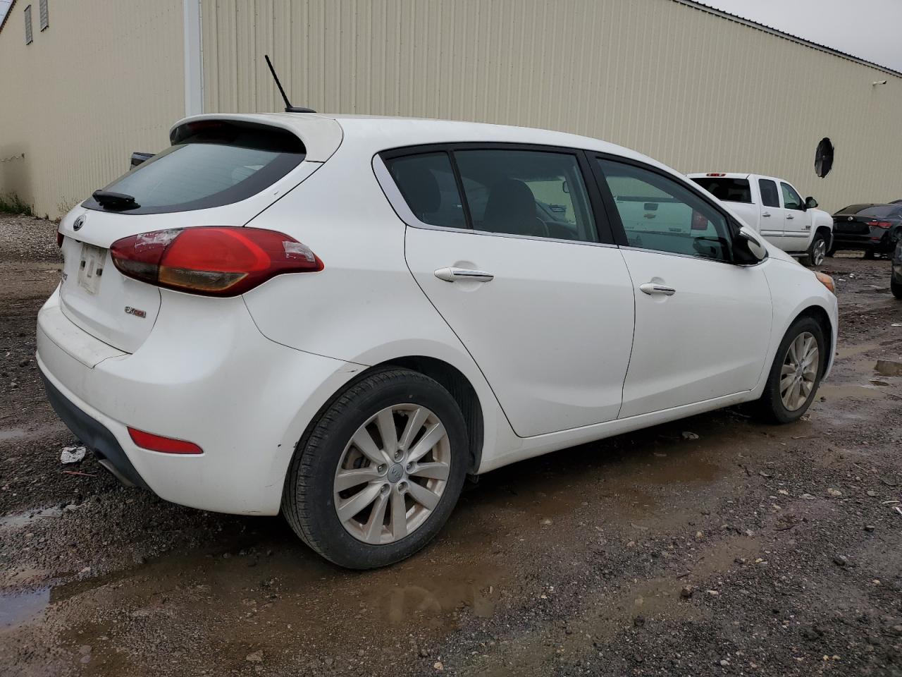 Lot #3029729676 2014 KIA FORTE EX