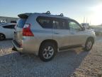 Lot #3025222838 2010 LEXUS GX 460