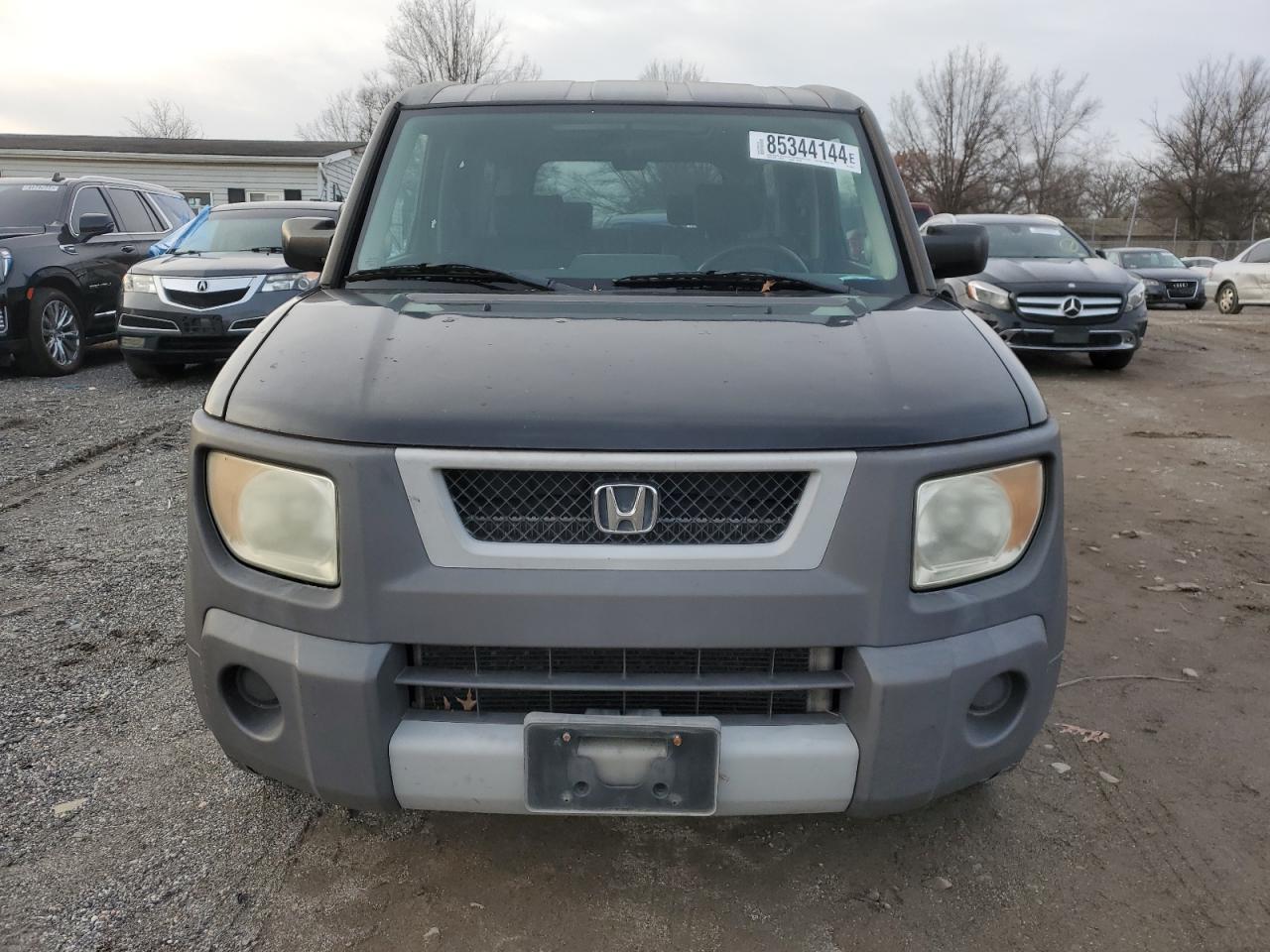 Lot #3037083388 2003 HONDA ELEMENT EX