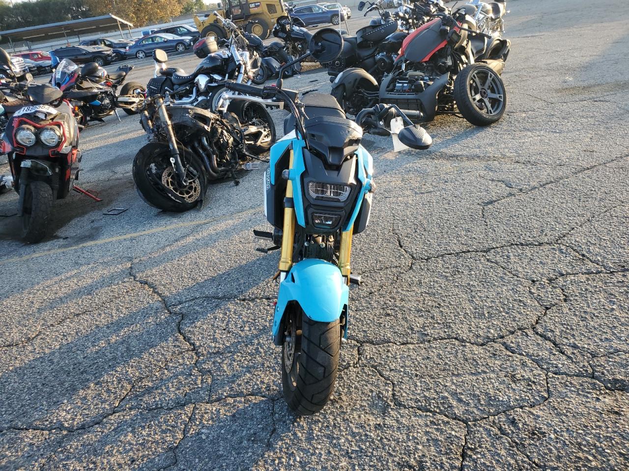 Lot #3028291785 2020 HONDA GROM 125