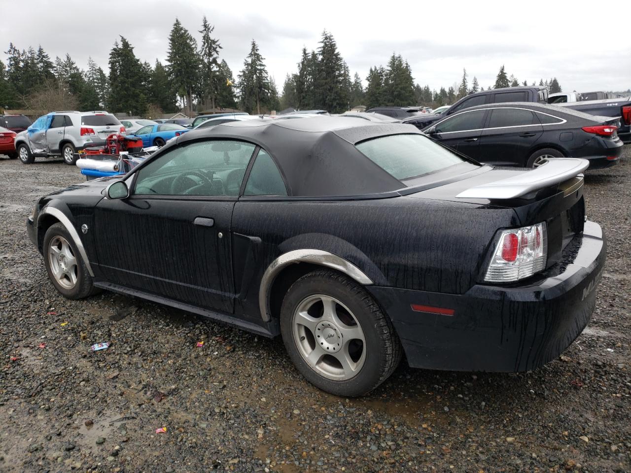 Lot #3034538761 2004 FORD MUSTANG