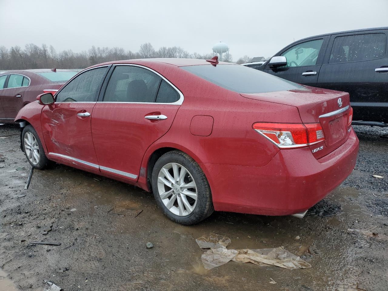 Lot #3033305831 2010 LEXUS ES 350