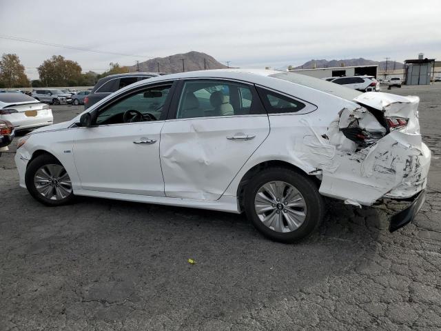 HYUNDAI SONATA HYB 2019 white  hybrid engine KMHE24L38KA088771 photo #3