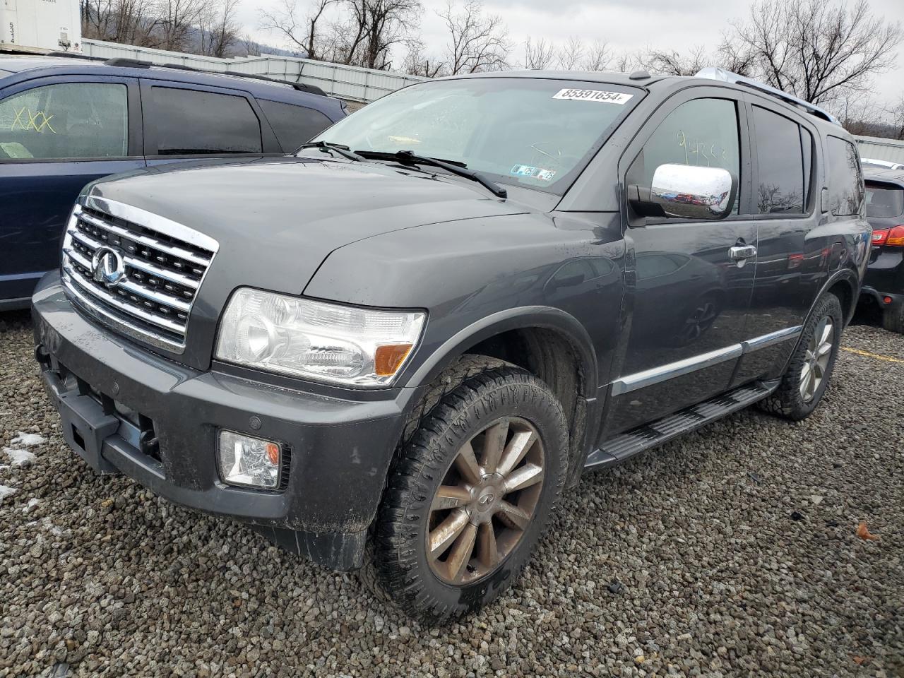 Lot #3034397093 2010 INFINITI QX56