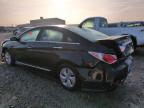 Lot #3024057657 2013 HYUNDAI SONATA HYB