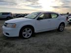 Lot #3023813970 2013 DODGE AVENGER SE