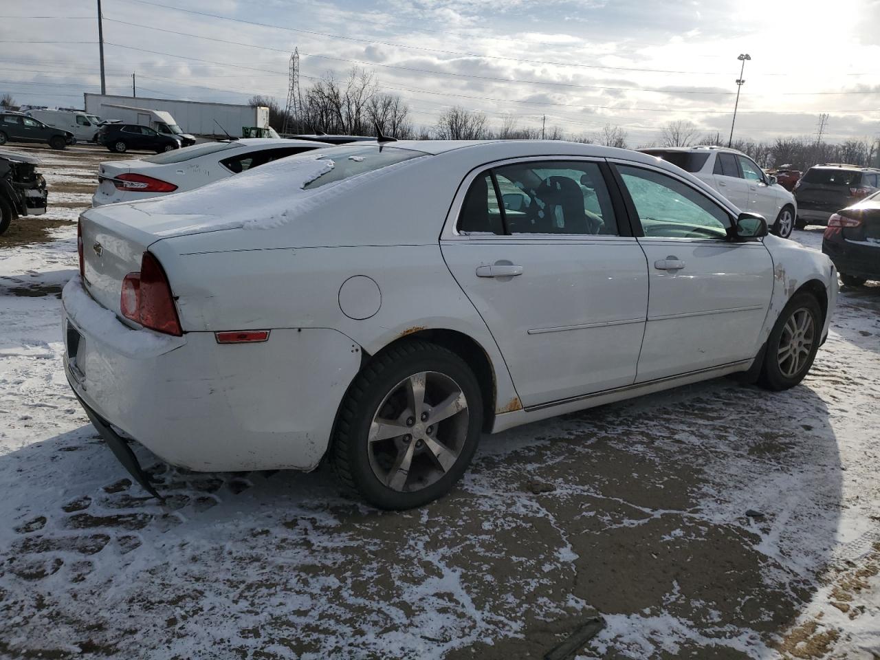 Lot #3027045801 2011 CHEVROLET MALIBU 1LT