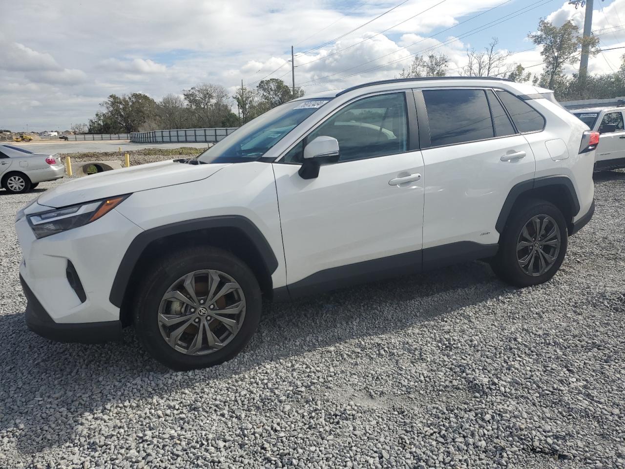 Lot #3041987229 2023 TOYOTA RAV4 XLE P