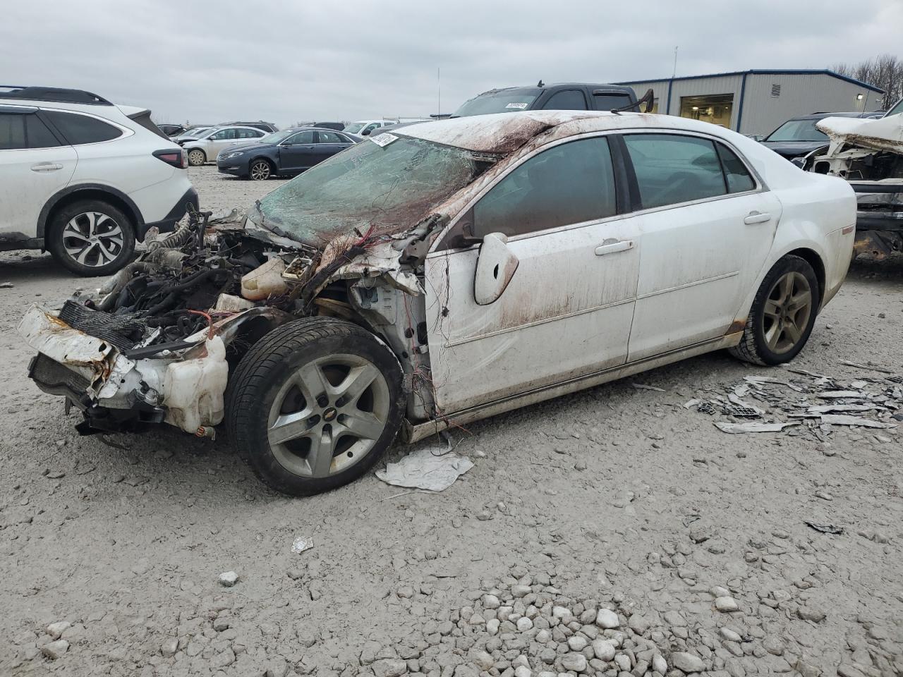 Lot #3034254819 2009 CHEVROLET MALIBU 1LT