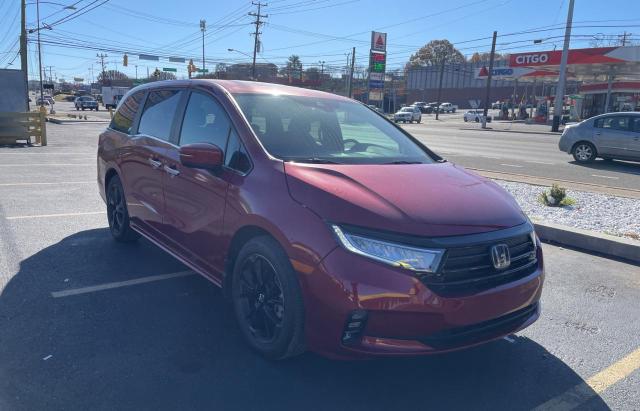 2023 HONDA ODYSSEY SP #3024869442