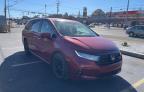 Lot #3024869442 2023 HONDA ODYSSEY SP