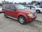 Lot #3040961472 2010 FORD ESCAPE XLT