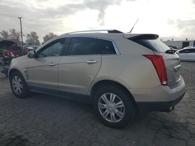 CADILLAC SRX LUXURY 2010 beige  gas 3GYFNAEY4AS500974 photo #3