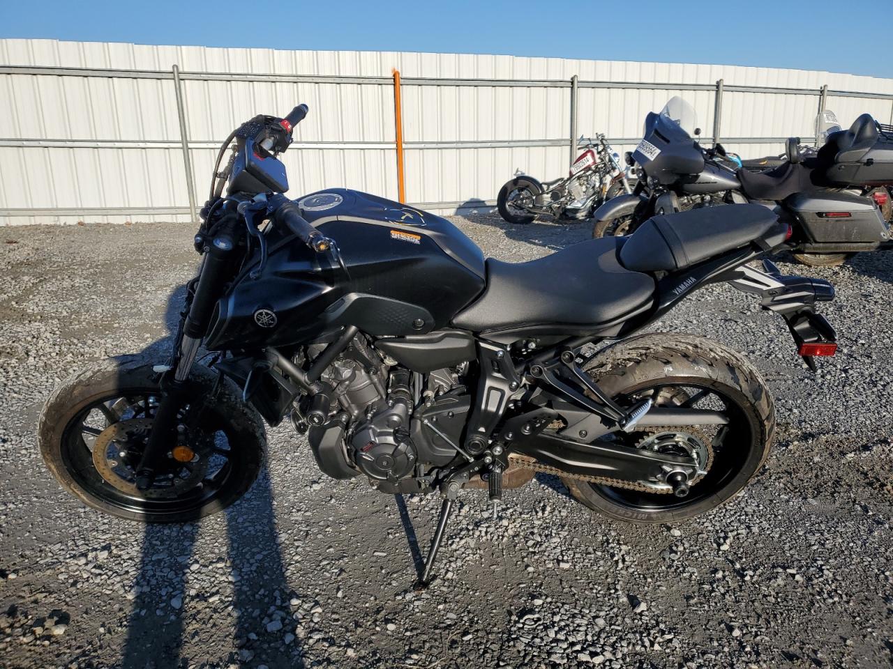 Lot #3033158173 2024 YAMAHA MT07