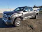 2024 TOYOTA TUNDRA CRE - 5TFMC5EC1RX006600