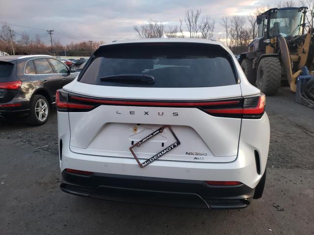 2024 LEXUS NX 350 LUX 2T2HGCEZ0RC052380