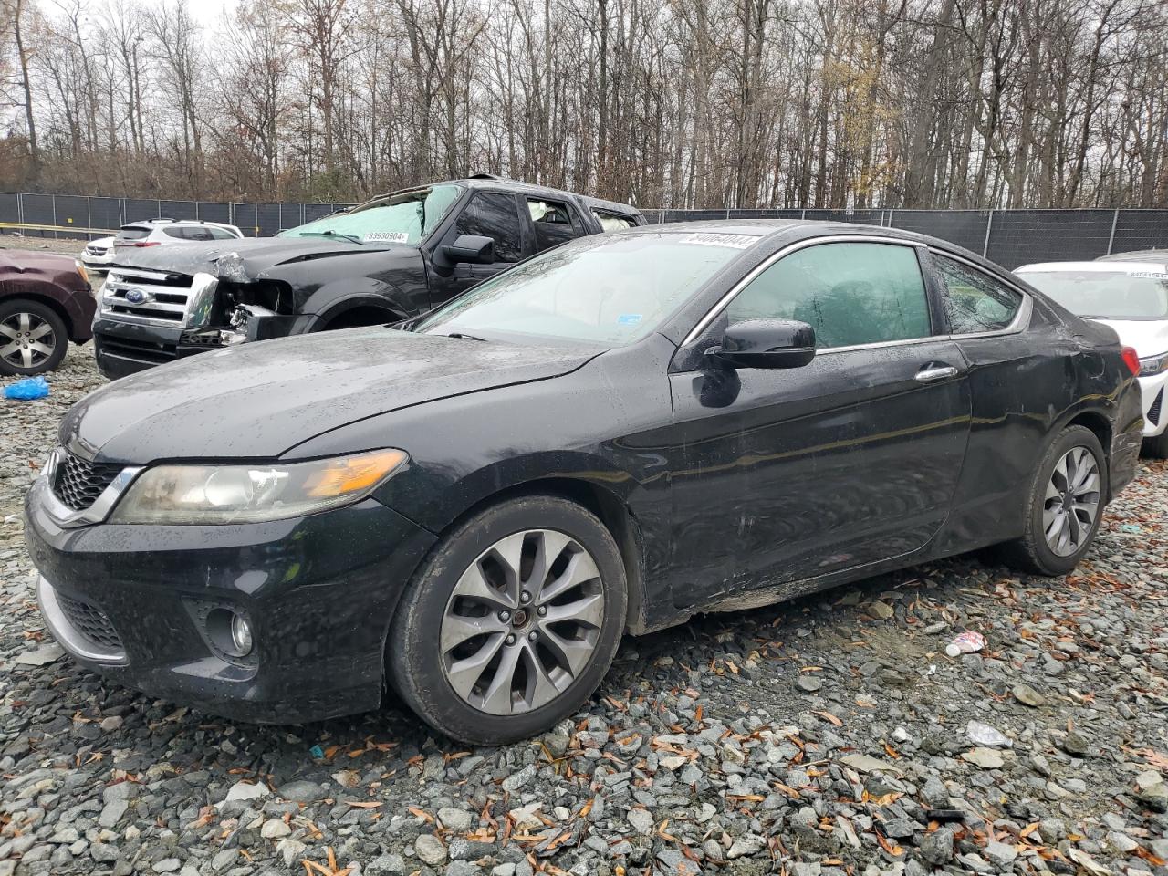 Lot #3037161483 2013 HONDA ACCORD EXL