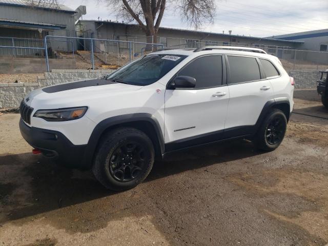2019 JEEP CHEROKEE T - 1C4PJMBX5KD257079