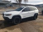 2019 JEEP CHEROKEE T - 1C4PJMBX5KD257079