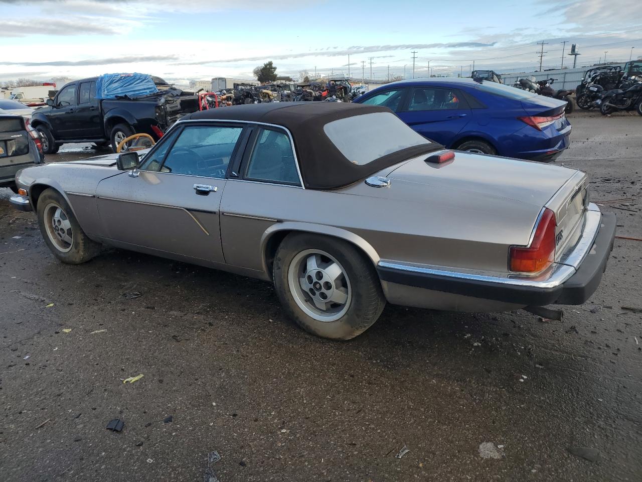 Lot #3030458457 1988 JAGUAR XJSC HE