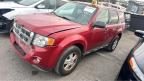 Lot #3024895406 2010 FORD ESCAPE XLT