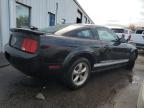 Lot #3033554086 2008 FORD MUSTANG