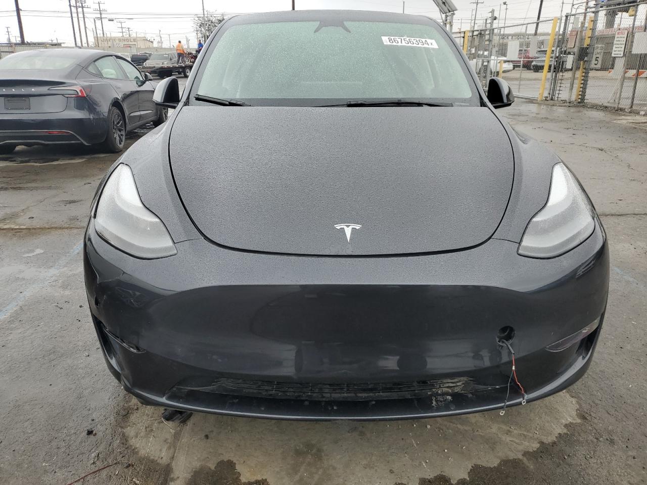 Lot #3036925740 2024 TESLA MODEL Y