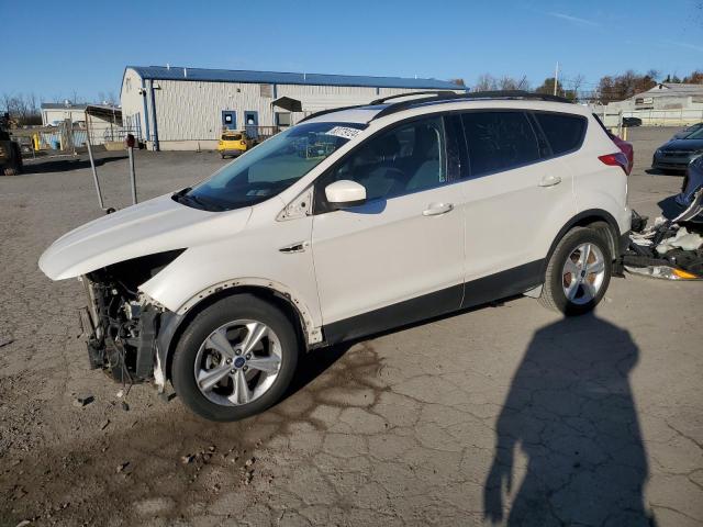 Global Auto Auctions: 2014 FORD ESCAPE SE