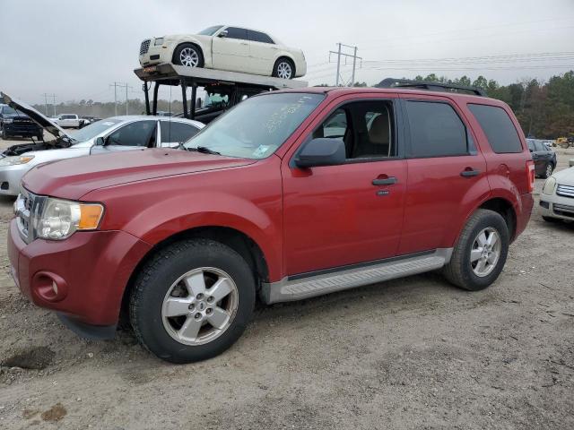 2010 FORD ESCAPE XLT #3040961472