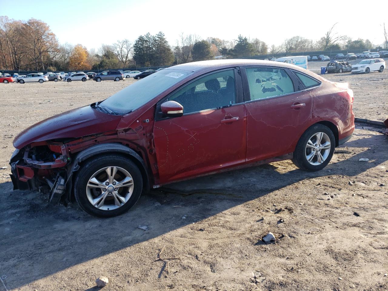 Lot #3029656079 2013 FORD FOCUS SE