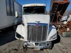 Lot #3024288847 2023 PETERBILT 579