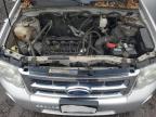 Lot #3030546508 2011 FORD ESCAPE XLT