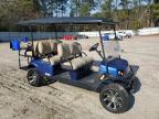 Lot #3029505358 2020 ASPT GOLF CART