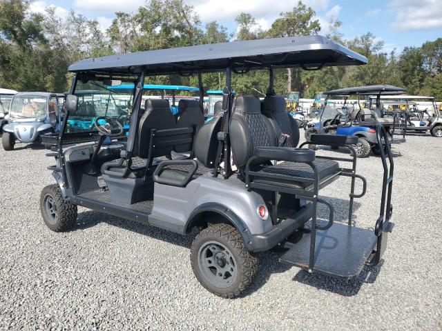 ASPT GOLF CART 2023 gray   FLA127917 photo #4