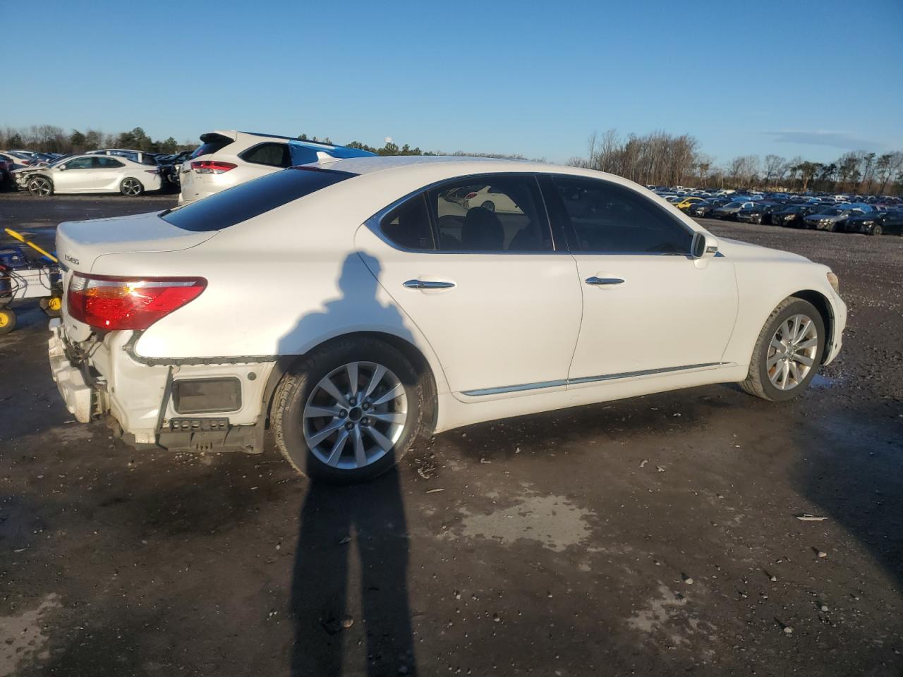 Lot #3041892474 2010 LEXUS LS 460