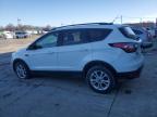 Lot #3033015012 2017 FORD ESCAPE SE