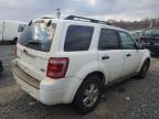 Lot #3024428551 2012 FORD ESCAPE