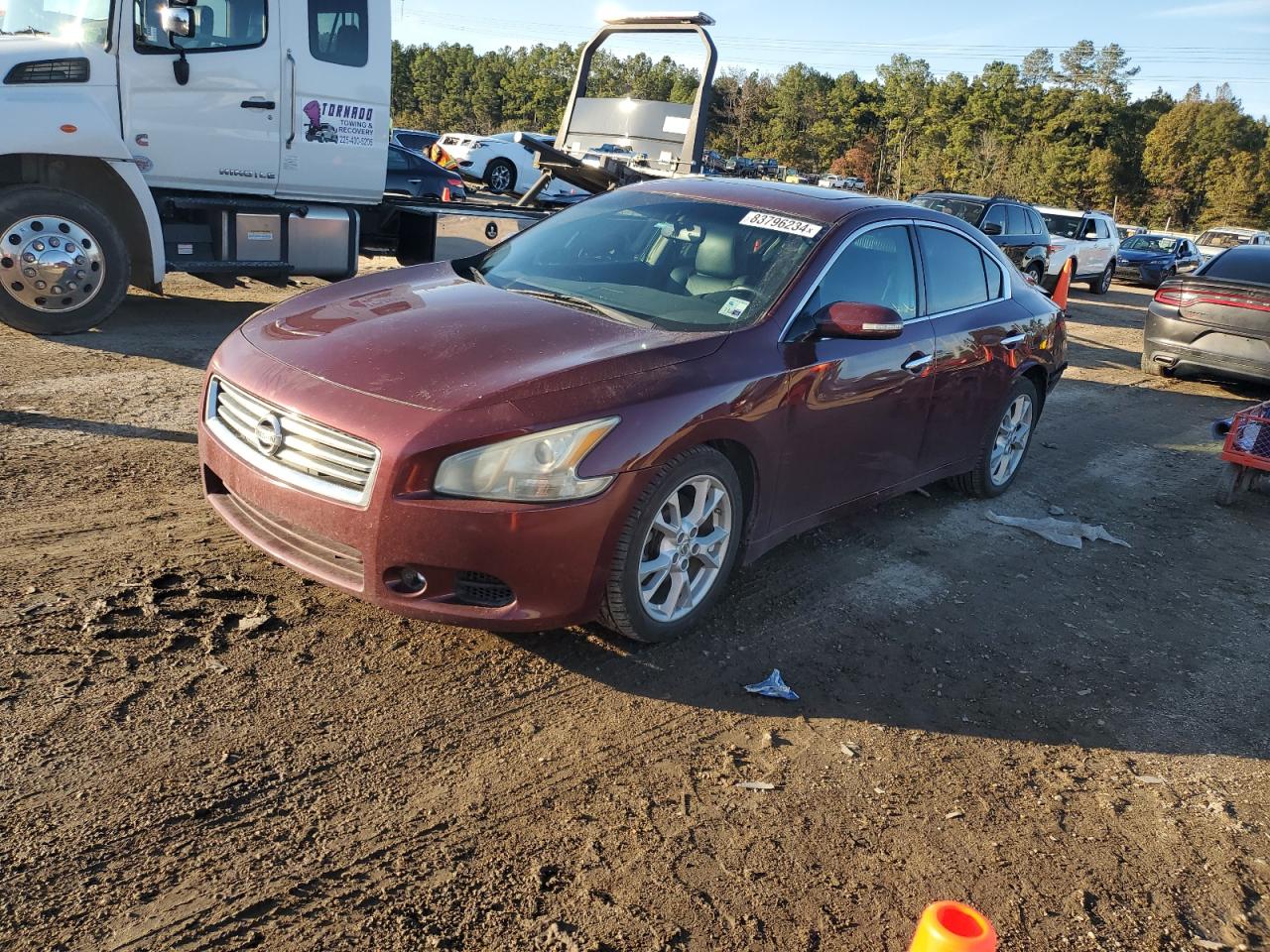 Lot #3030433460 2013 NISSAN MAXIMA