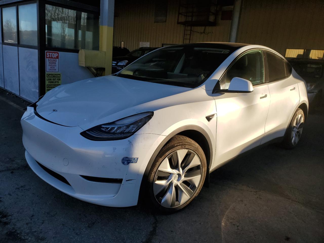 Lot #3028272797 2020 TESLA MODEL Y