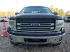 Lot #3025212596 2013 FORD F150 SUPER