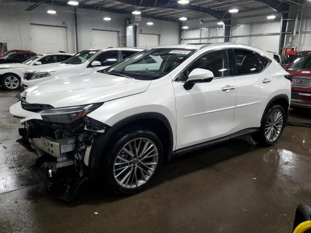 2023 LEXUS NX 350 - JTJHGCEZ8P5004654