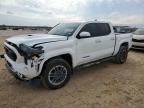 2024 TOYOTA TACOMA DOU - 3TYKB5FN3RT002780