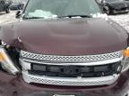 Lot #3024757223 2011 FORD EXPLORER X