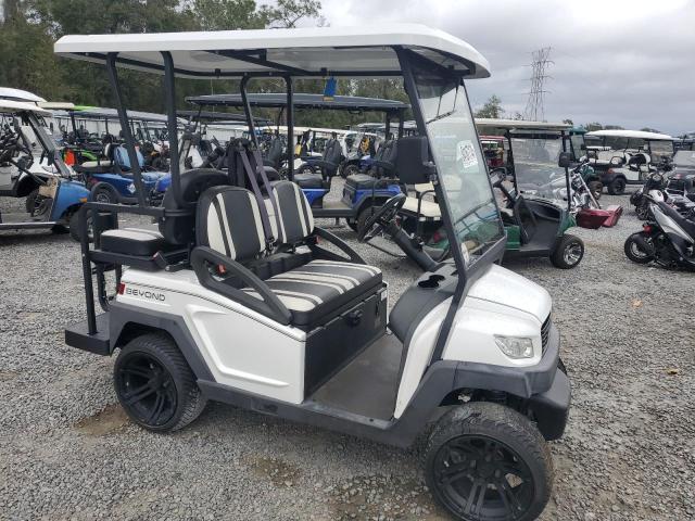 2021 OTHR GOLF CART #3033021003