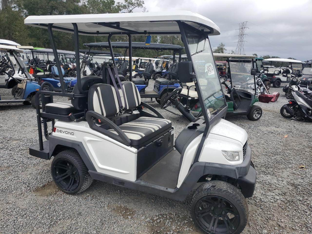 Lot #3033021003 2021 OTHR GOLF CART