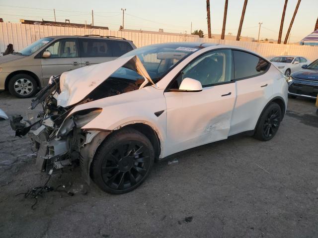 2021 TESLA MODEL Y #3030427502