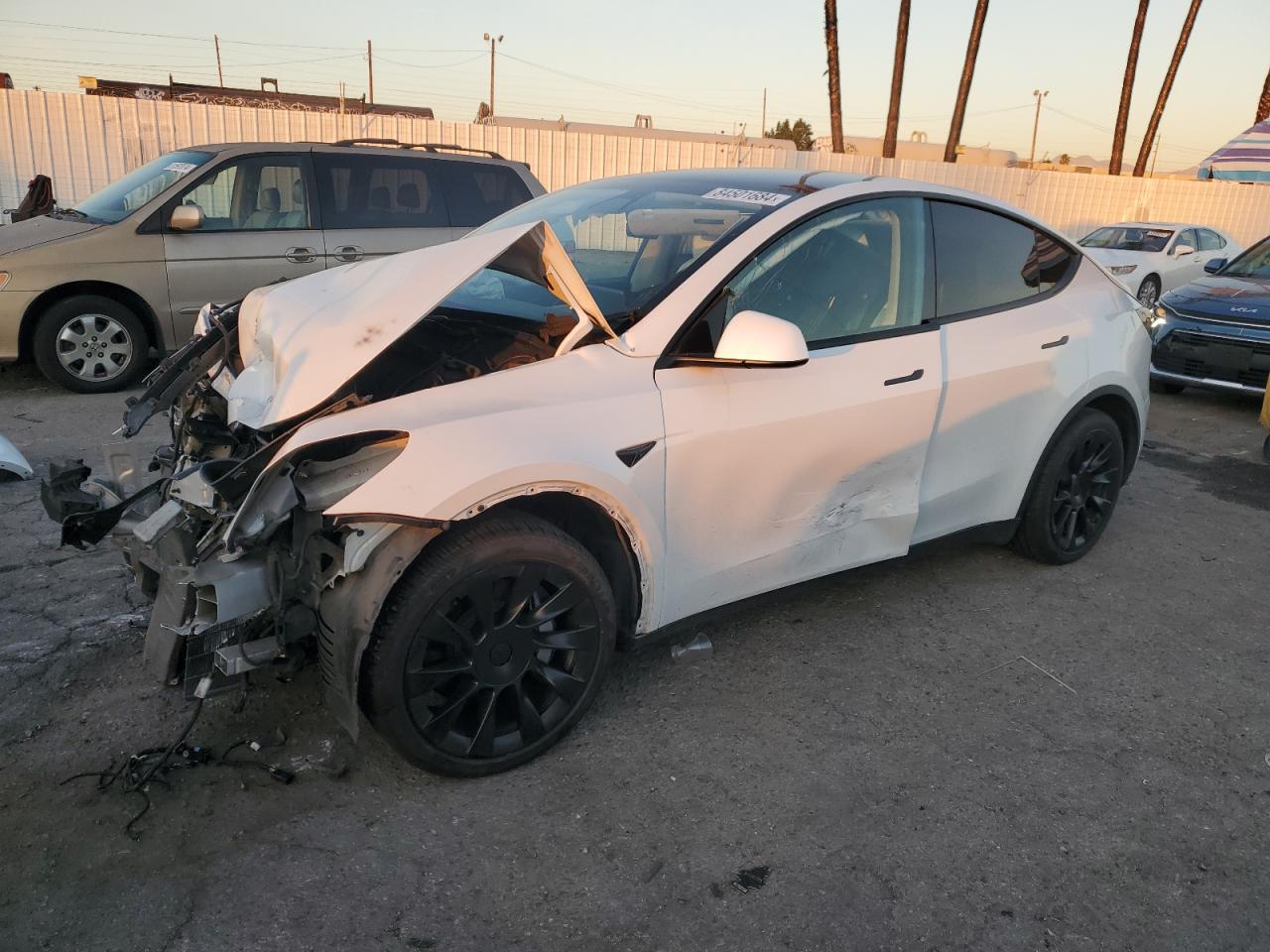 Lot #3030427502 2021 TESLA MODEL Y