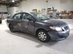 Lot #3040803803 2010 TOYOTA COROLLA BA